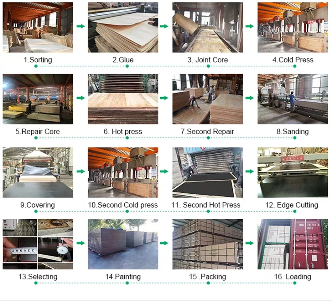 Green PP Plastic Polyester Coated Formwork Film Faced Plywood Plywood